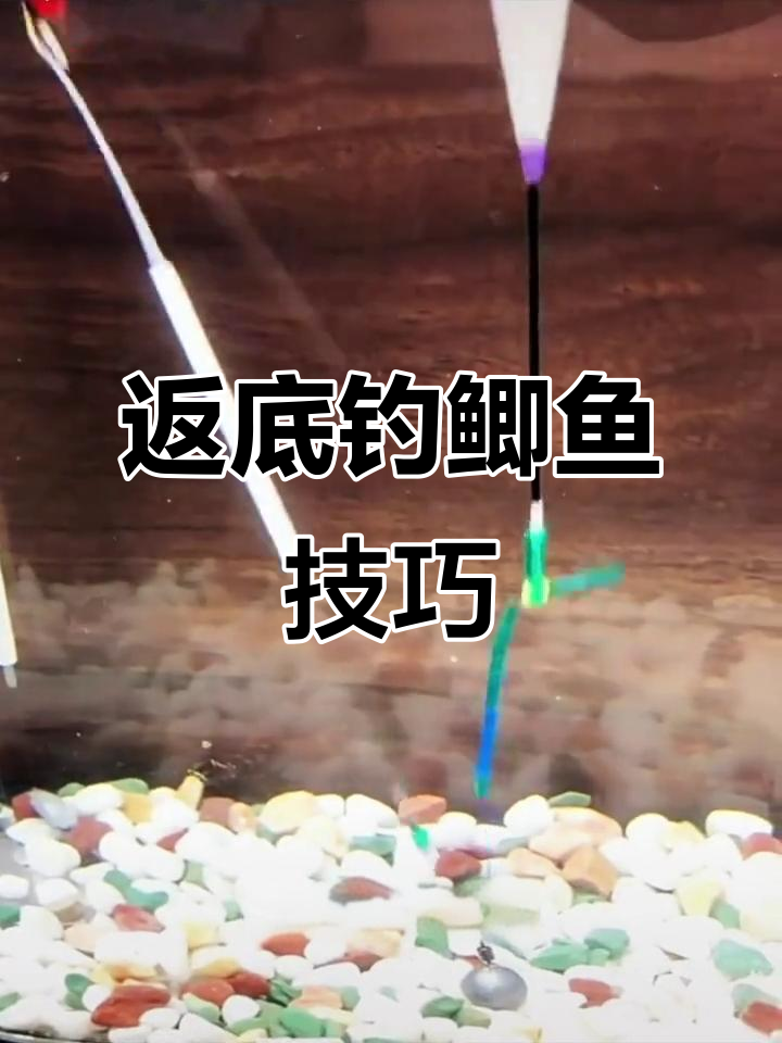 反底钓鲫鱼技巧大揭秘,金袖手杆逗钓鱼组全解析