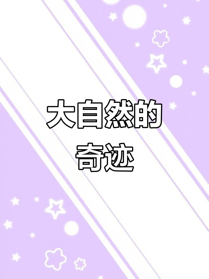 3月19日云南偶遇兰花螳螂,惊叹自然之美