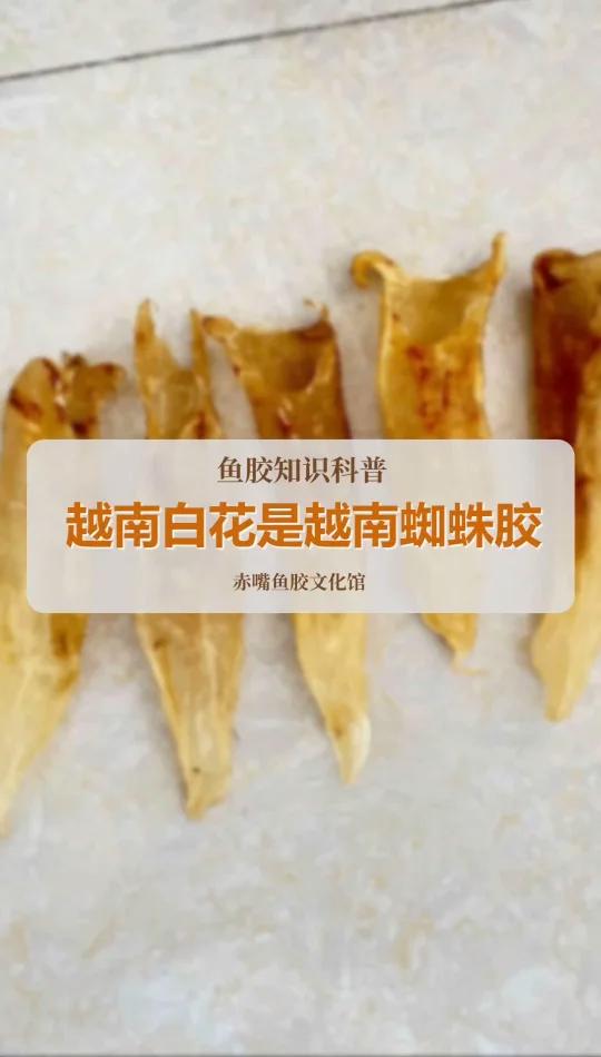 南海野生白花是什么胶?