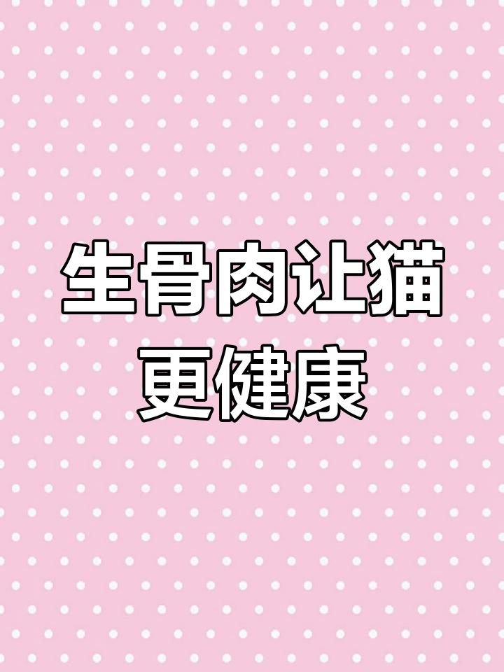 猫咪毛发不亮?试试生骨肉喂养,饮食才是关键