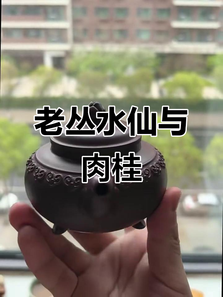 碧石岩老树肉桂,香气独特,幽远浓郁