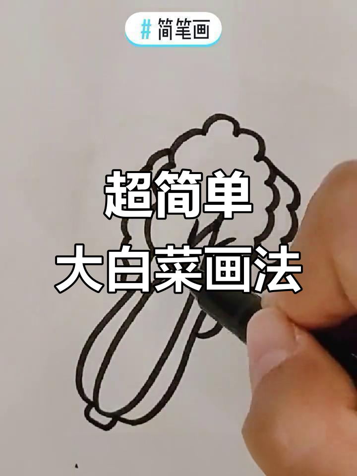 轻松画出可爱白菜，步骤简单又有趣