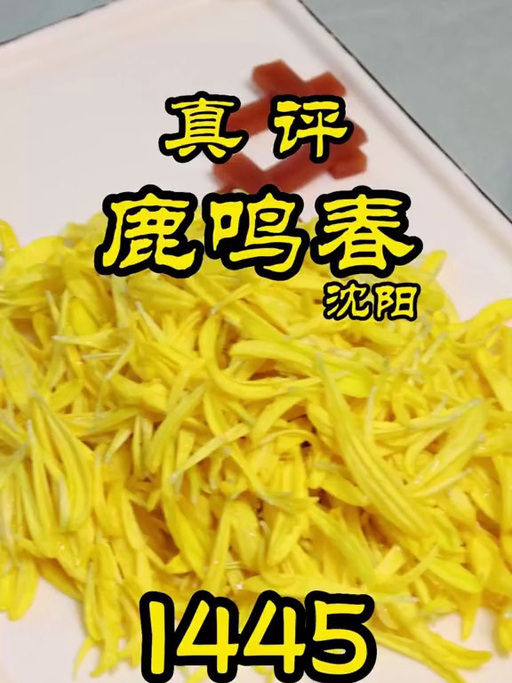 隋卞一探沈阳——鹿鸣春！真是吃得高兴不起来！