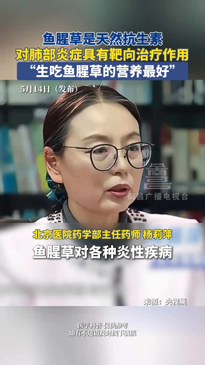 鱼腥草是天然抗生素,“生吃鱼腥草的营养最好”