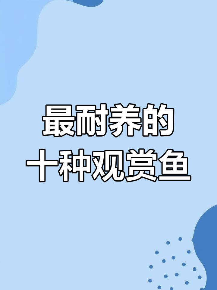 十大最受欢迎观赏鱼,皮实好养又美丽
