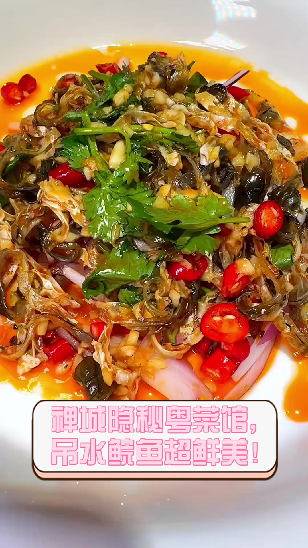 禅城隐秘粤菜馆，吊水鲩鱼超鲜美！