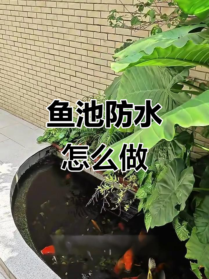 2500元搞定鱼池防水,两种方法教你轻松做到