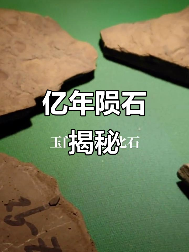 玉门发现亿年前陨石化石,揭示远古奥秘