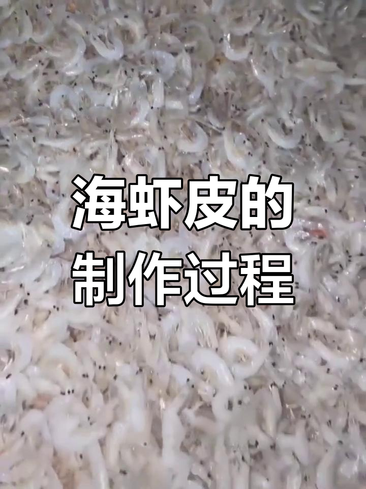 新鲜海虾皮制作揭秘:从清洗到烘烤,美味一气呵成