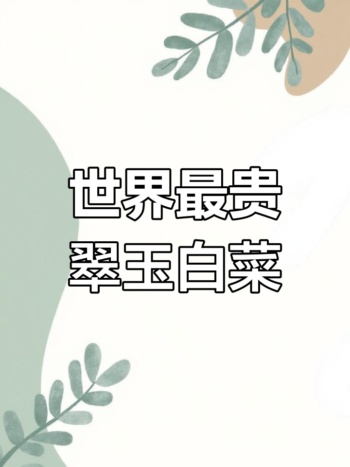 台北故宫的翠玉白菜,价值连城的艺术瑰宝