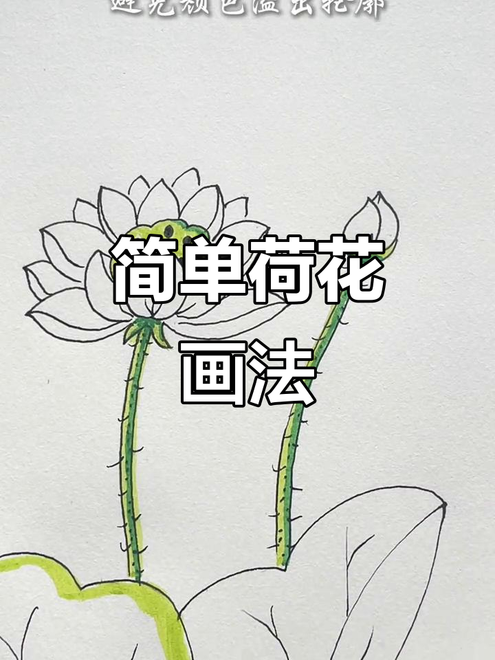 荷花简笔画教程,轻松学会画美丽花朵