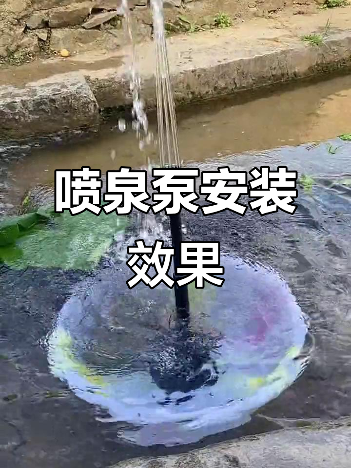 大功率喷泉泵到货,鱼池秒变美丽喷泉