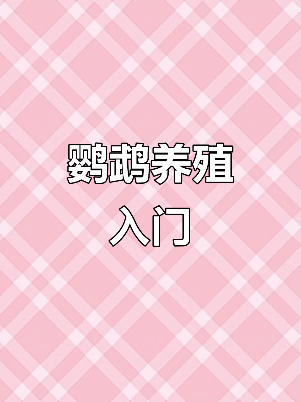 鹦鹉养殖技巧大公开,如何照顾宠物鸟更健康