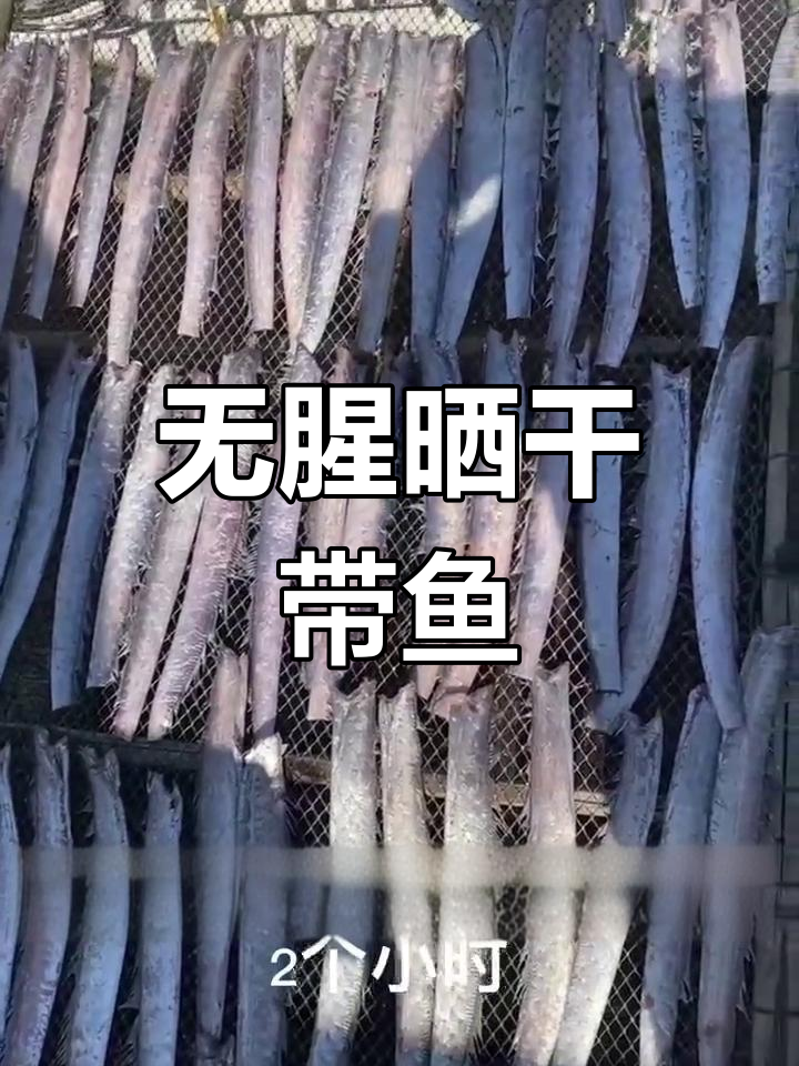 天然晒干带鱼,鲜美无腥
