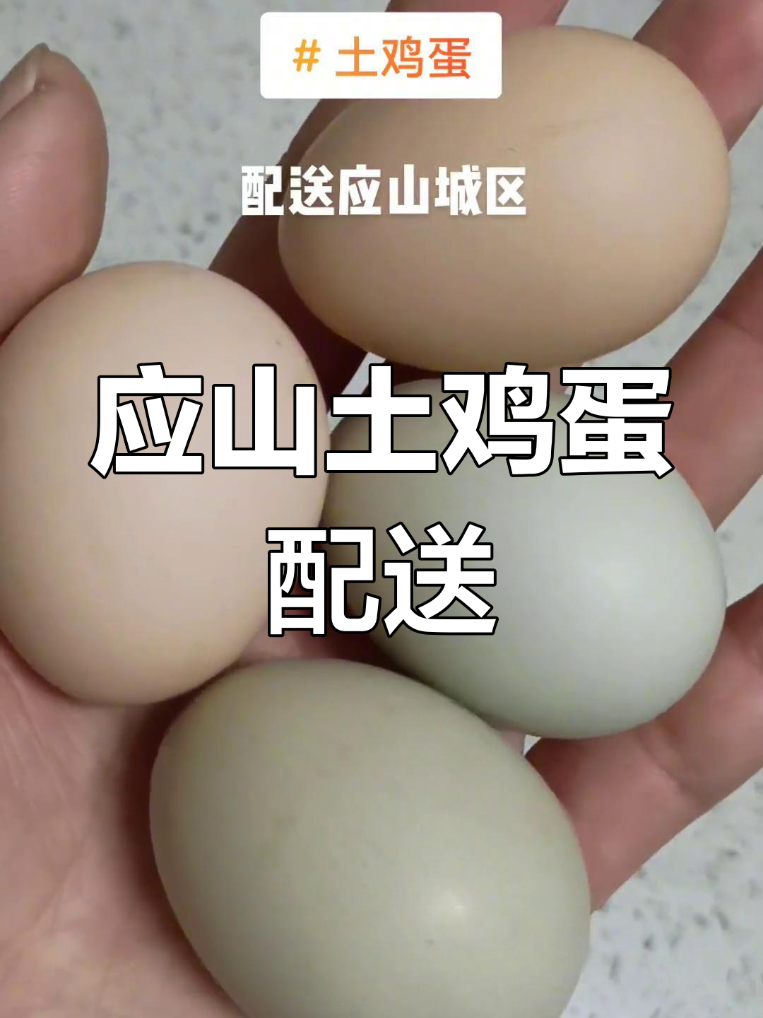 土鸡蛋散养,应山城区配送,1斤约十三到十四颗