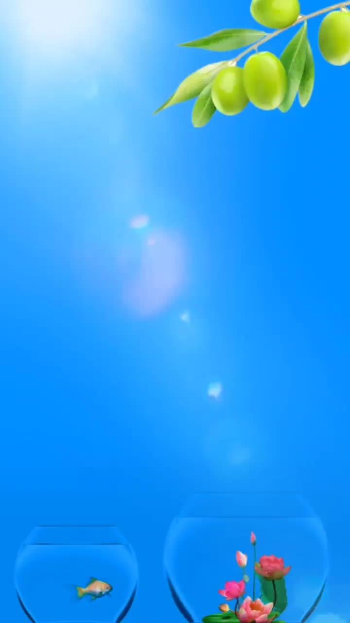 鱼与荷花视频素材 溶图制作 唯美背景 背景素材 唯美意境 兴义电脑培训