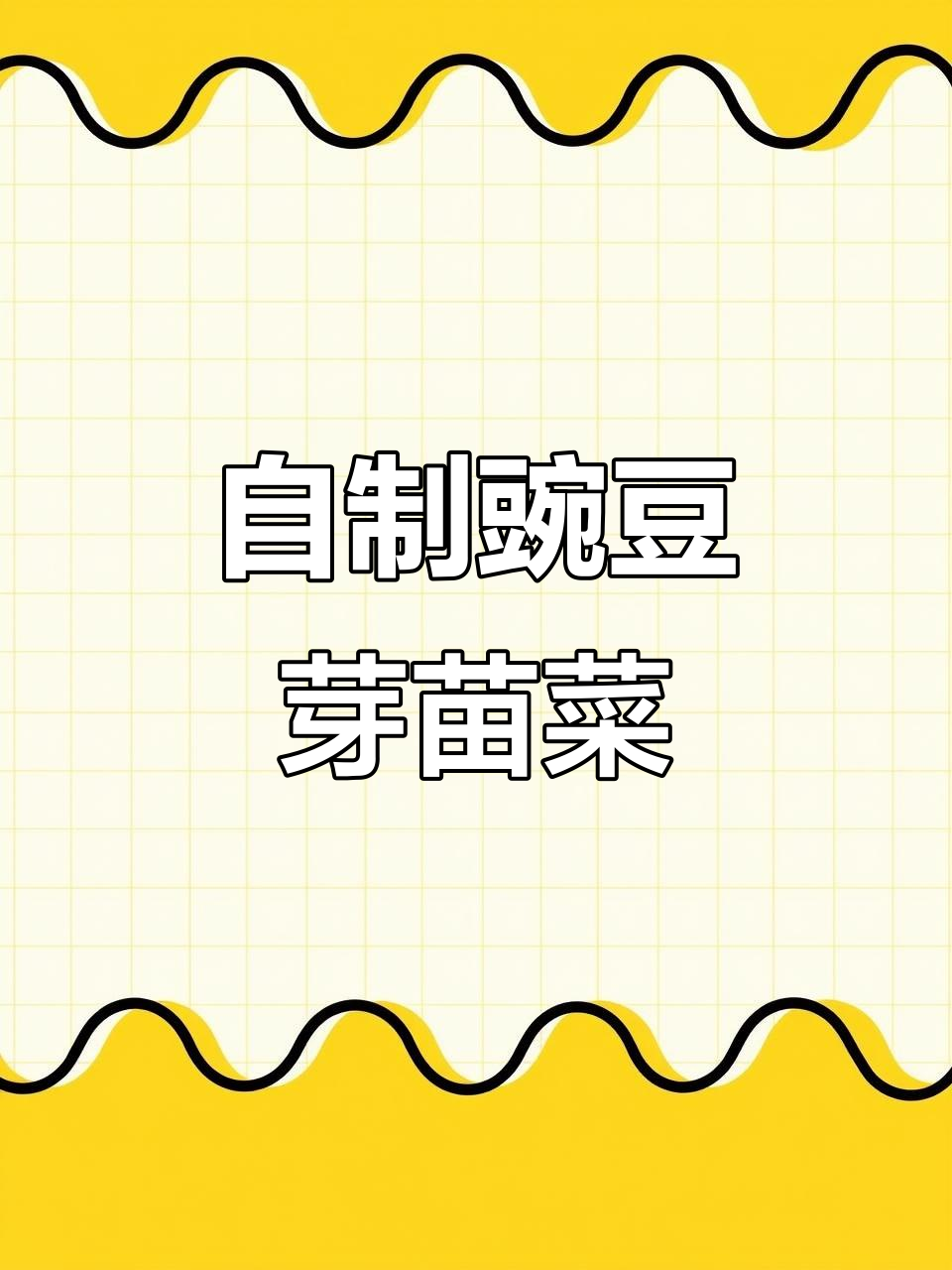 在家轻松种豌豆芽苗菜,简单又有趣