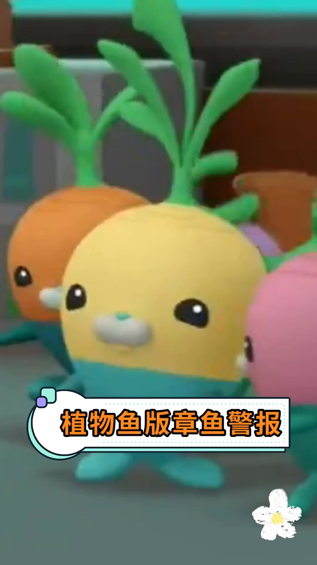 植物鱼版章鱼警报