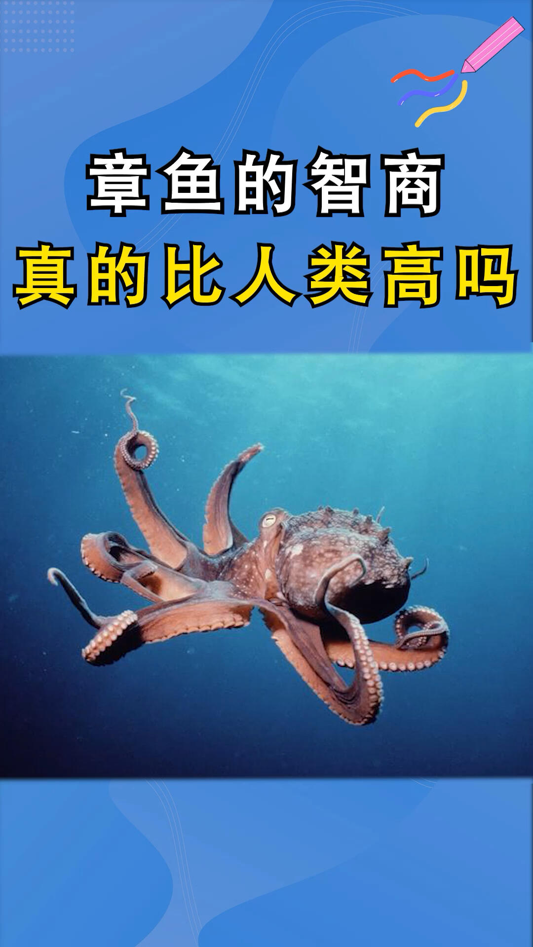 每日科普|章鱼的智商比人类高吗?