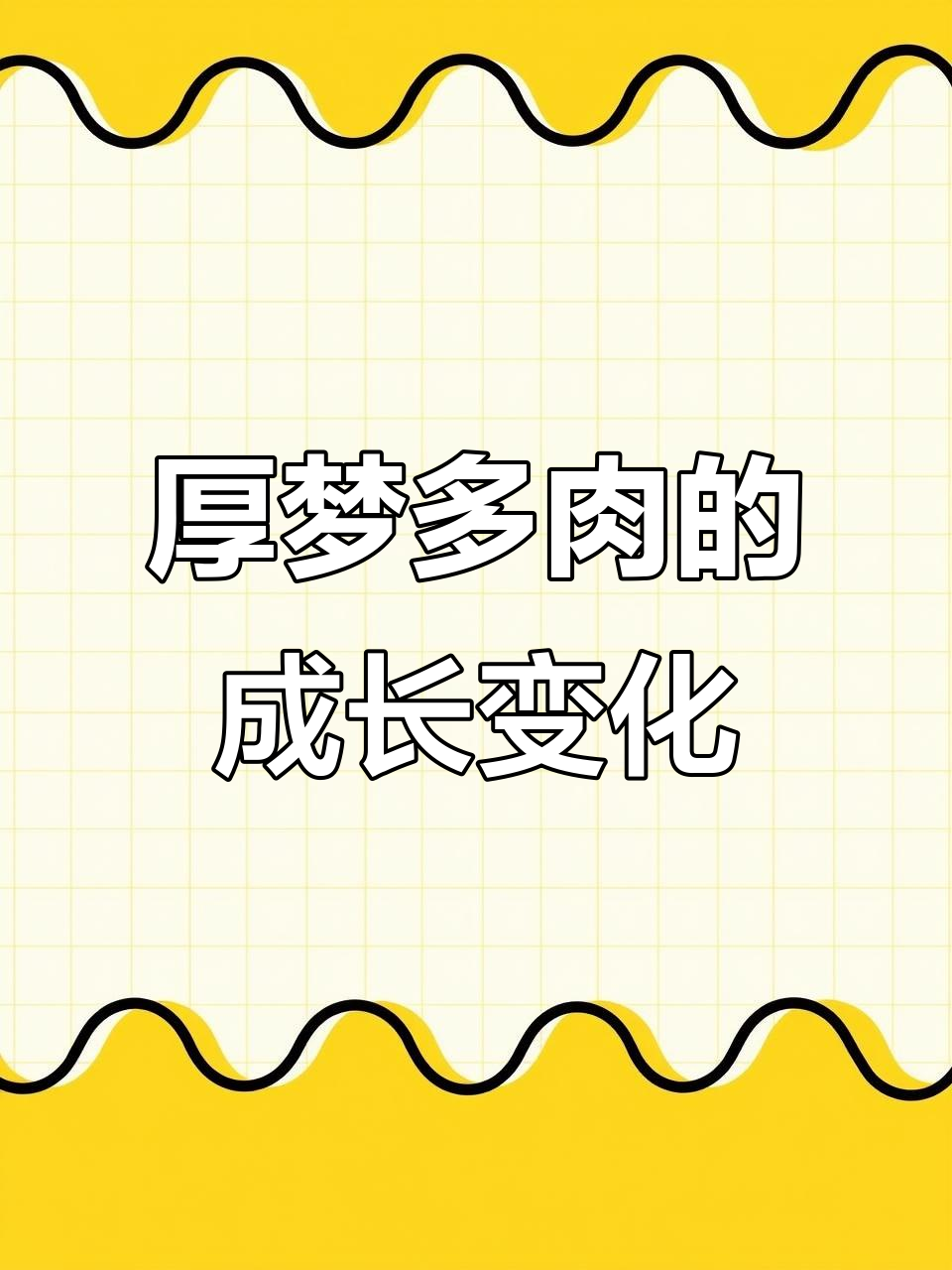 一块钱的厚梦多肉,长大后竟然值六七十块!