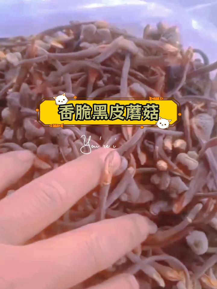 黑皮鸡枞菌干锅,香气扑鼻!