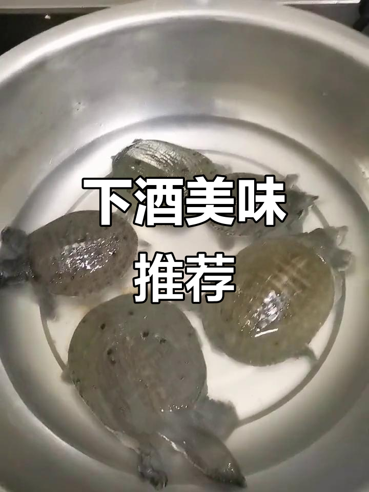 野生王八配土鸡,绝妙下酒菜,快来品尝!
