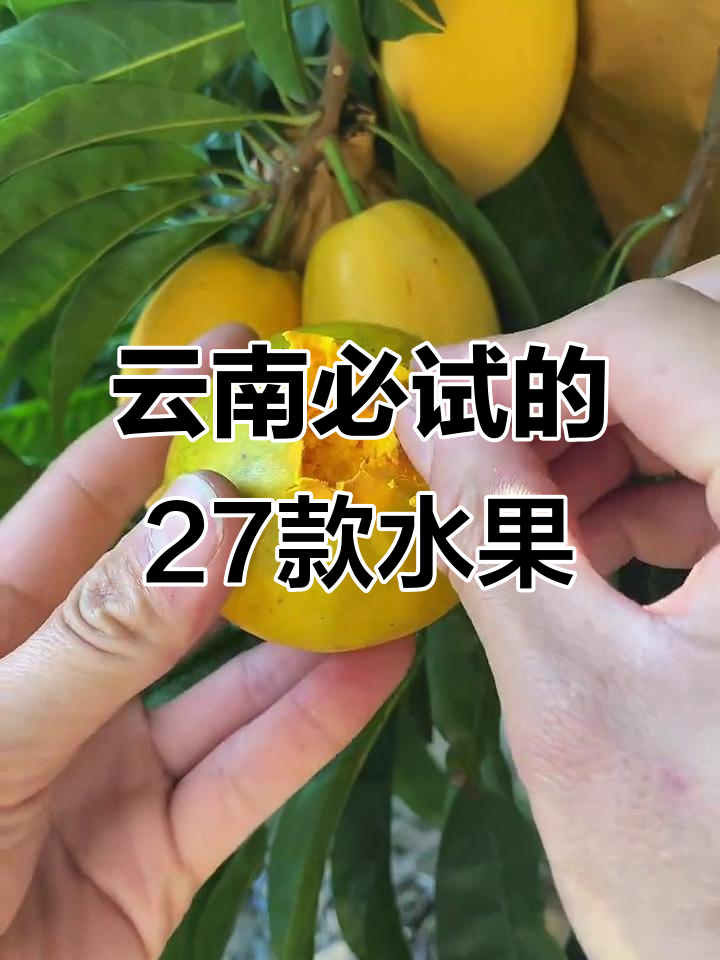 云南27种特色水果大揭秘，看看你吃过几种？