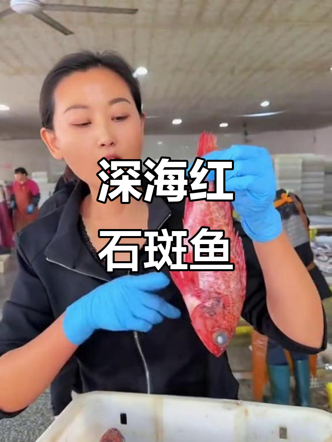 红石斑鱼:鲜嫩无腥,老人孩子都爱吃