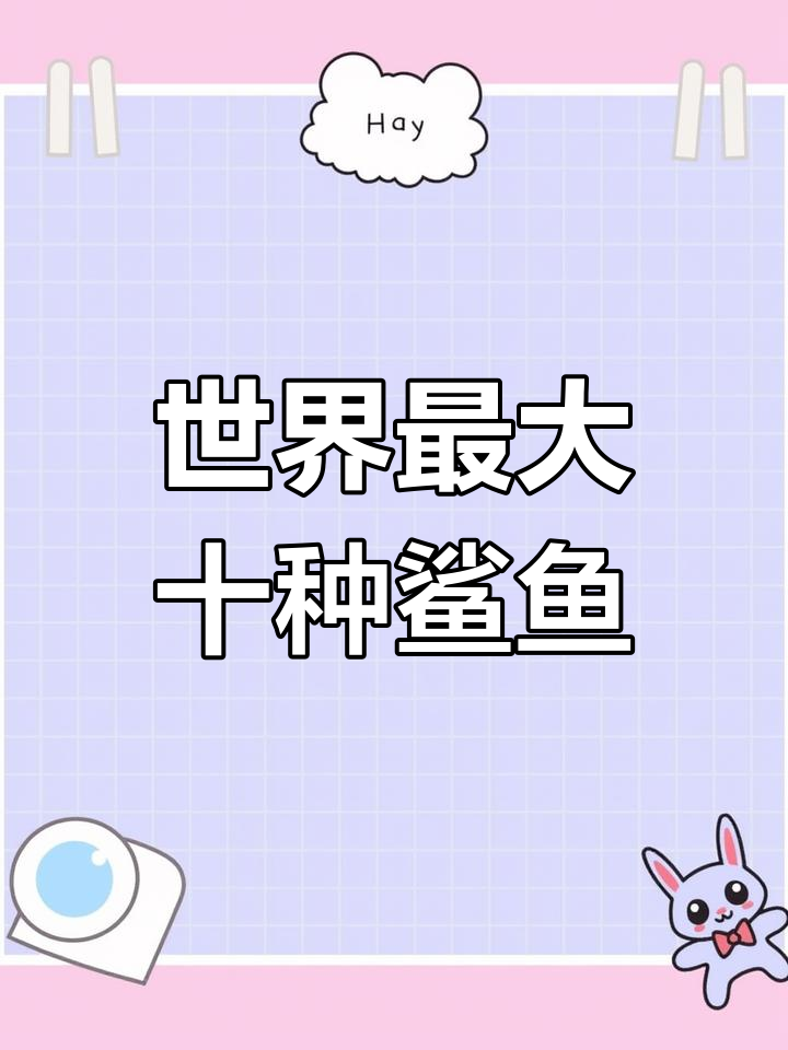 海洋中的巨型鲨鱼,体型排名前十