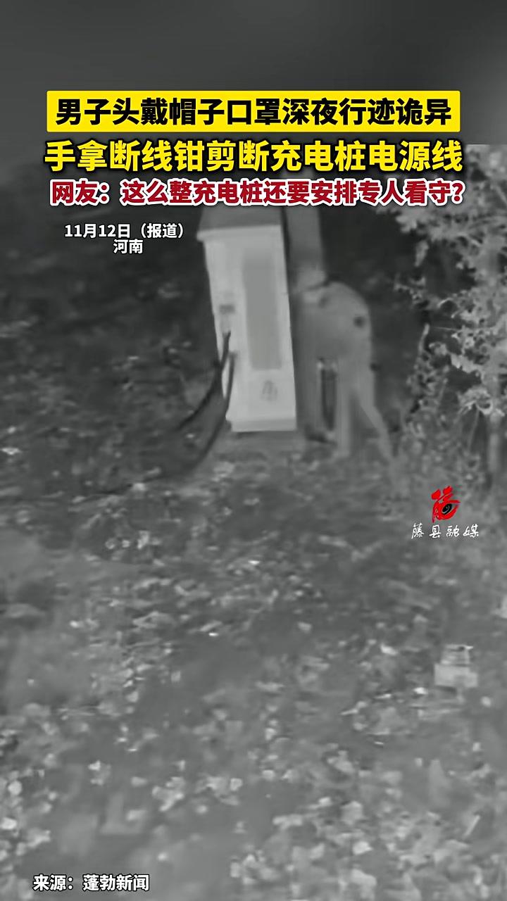 男子头戴帽子口罩深夜行迹诡异，手拿断线钳剪断充电桩电源线，网友：这么整充电桩还要安排专人看
