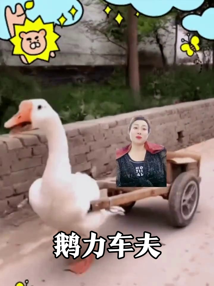 大白鹅成精拉车狂奔,乘客表情亮了
