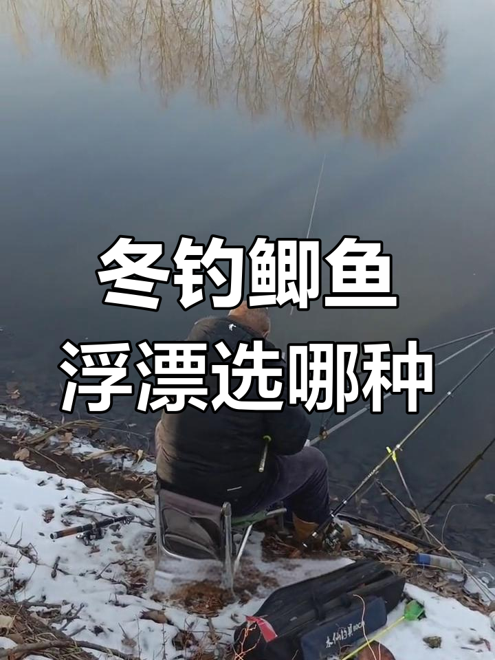 冬季钓鲫鱼浮漂选择技巧:细硬尾还是粗软尾更合适?