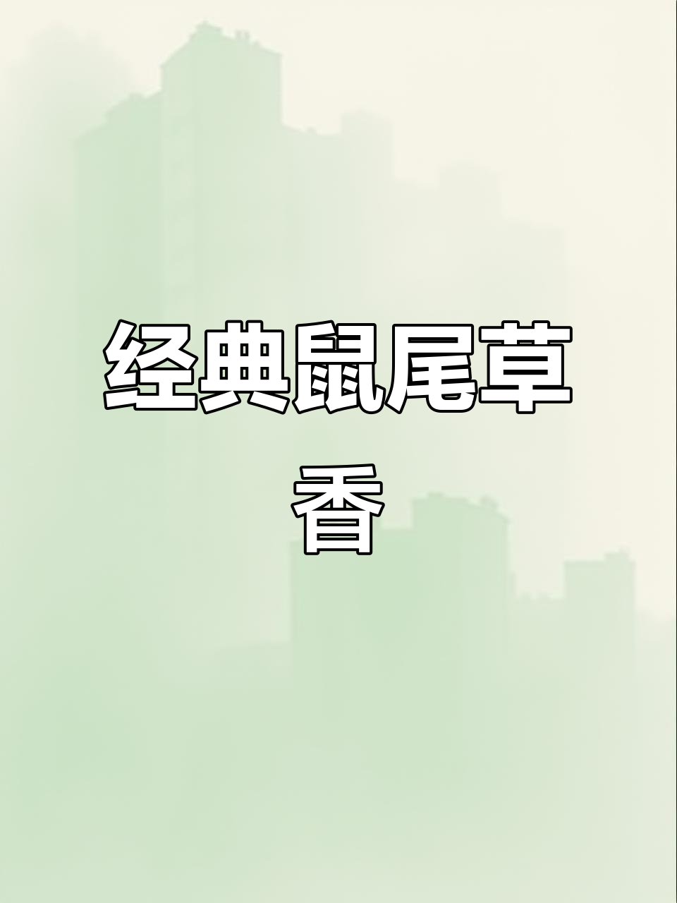 简约鼠尾草海盐香水,四季必备百搭款