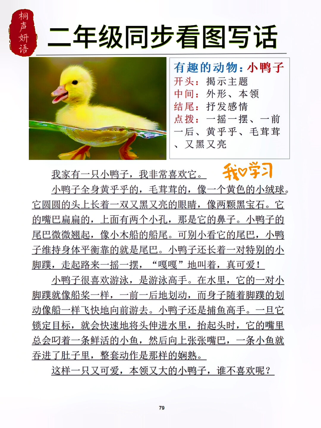 二年级语文同步看图写话有趣的动物～小鸭子