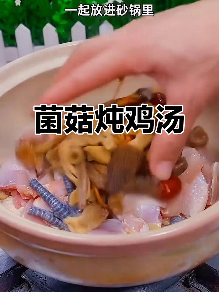 菌菇炖鸡汤,滋补又美味,给老婆煲汤最合适