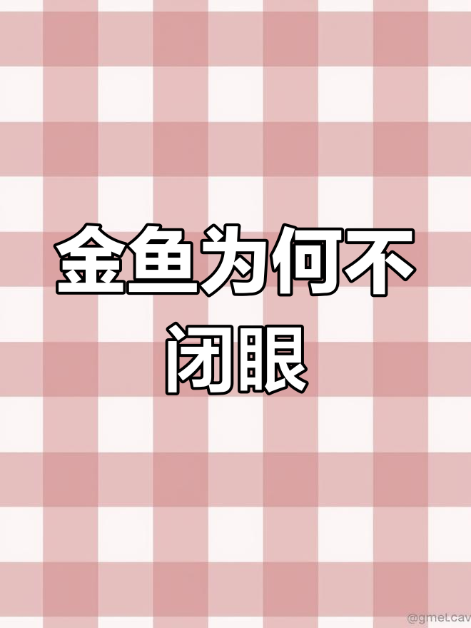 小金鱼为什么总是睁着眼睛睡觉?揭秘它们的睡眠方式