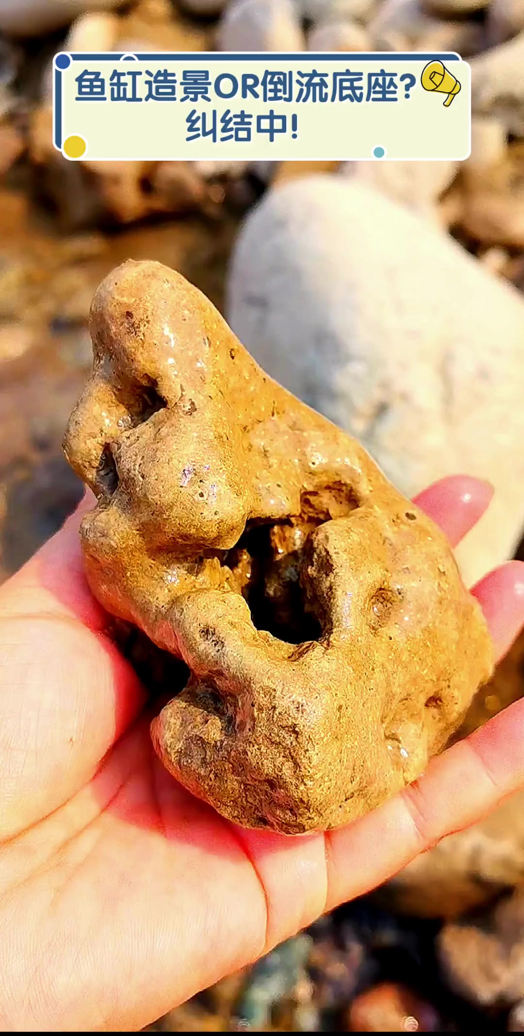 鱼缸造景OR倒流底座?纠结中!