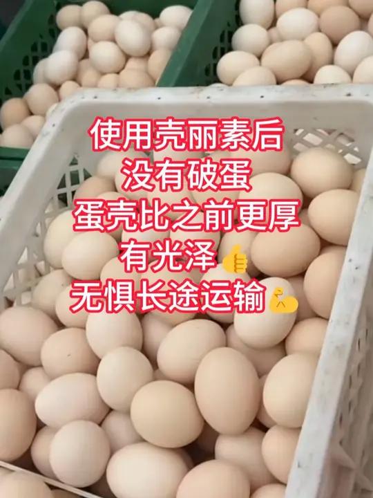 使用壳丽素后没有破蛋,蛋壳比之前更厚、有光泽!无惧长途运输