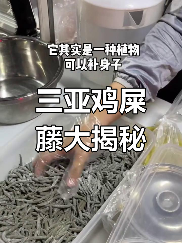 三亚街头鸡屎藤,椰奶加持的独特美味