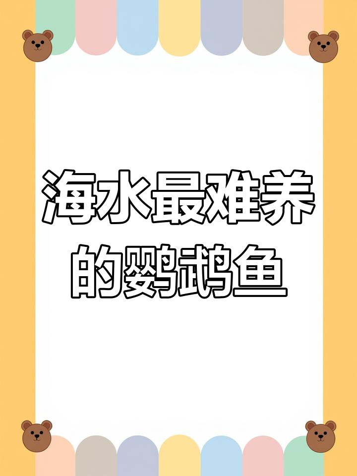 驯养海水最难鹦鹉鱼,珊瑚礁为食的美丽挑战