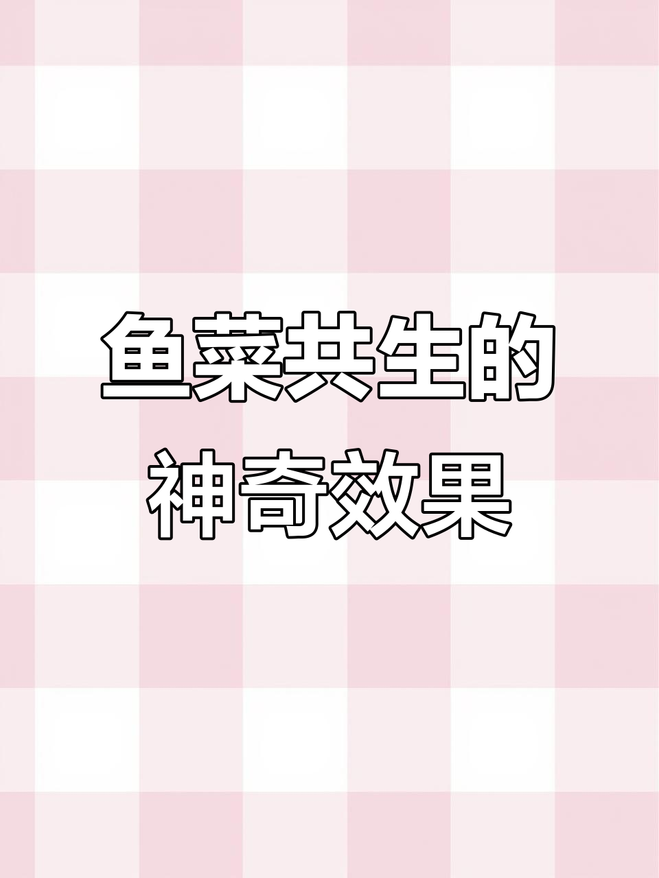 鱼菜共生基质二培:小辣椒长势惊人,根系吸收营养大揭秘