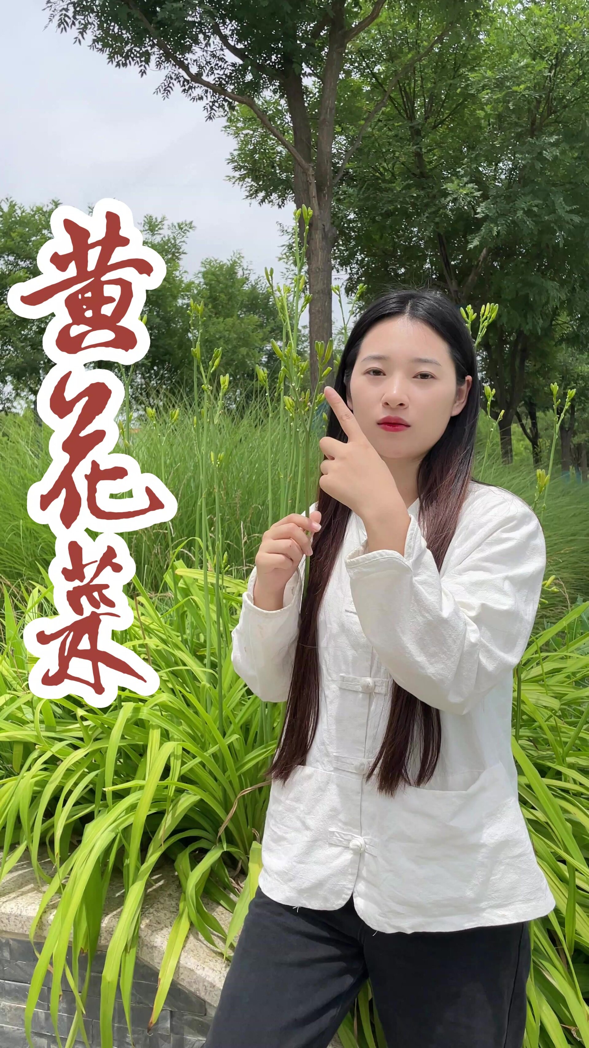 为什么说等你等得黄花菜都凉了?