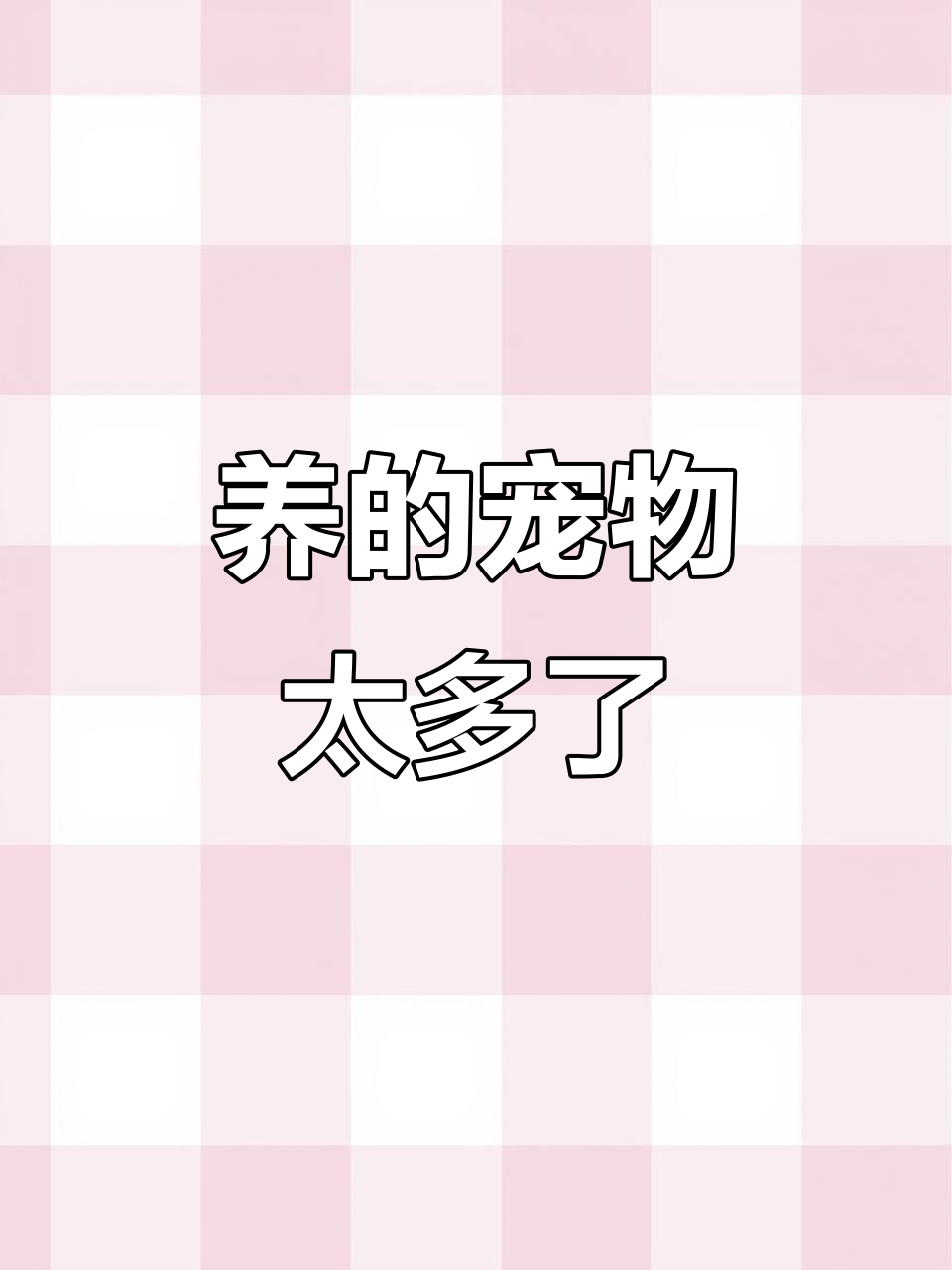 养宠物太多,真的能玩得过来吗?