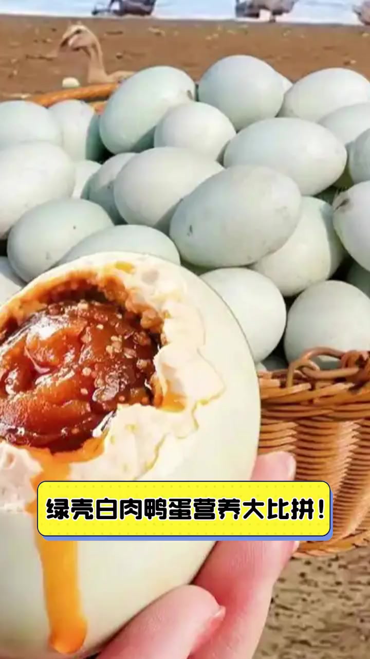 绿壳白肉鸭蛋营养大比拼!