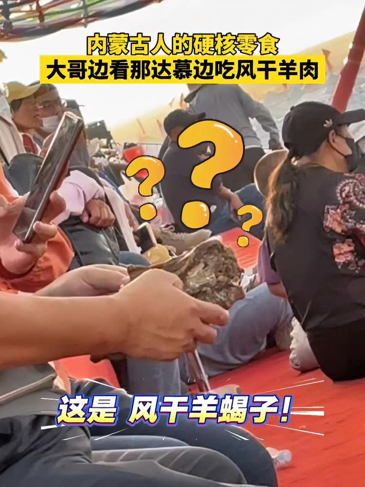 内蒙古人的硬核零食,大哥边看那达慕边吃风干羊肉 这零食很内蒙古 看那达慕吃羊肉才对味儿 那