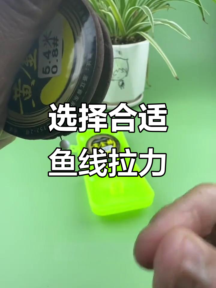 鱼线拉力如何选择?从零点八到三点零完美搭配
