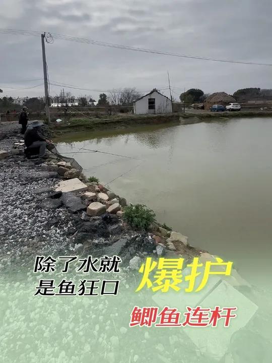 新年第一钓，爆护 #钓鱼人就是这么疯狂创作灵感船长浮漂渔之源钛武神鱼竿@