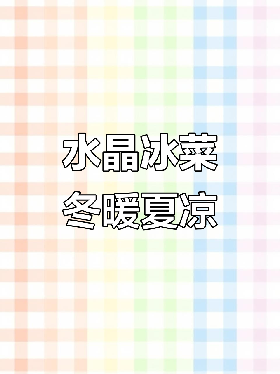 冬季也能种,水晶冰菜让你家吃不完