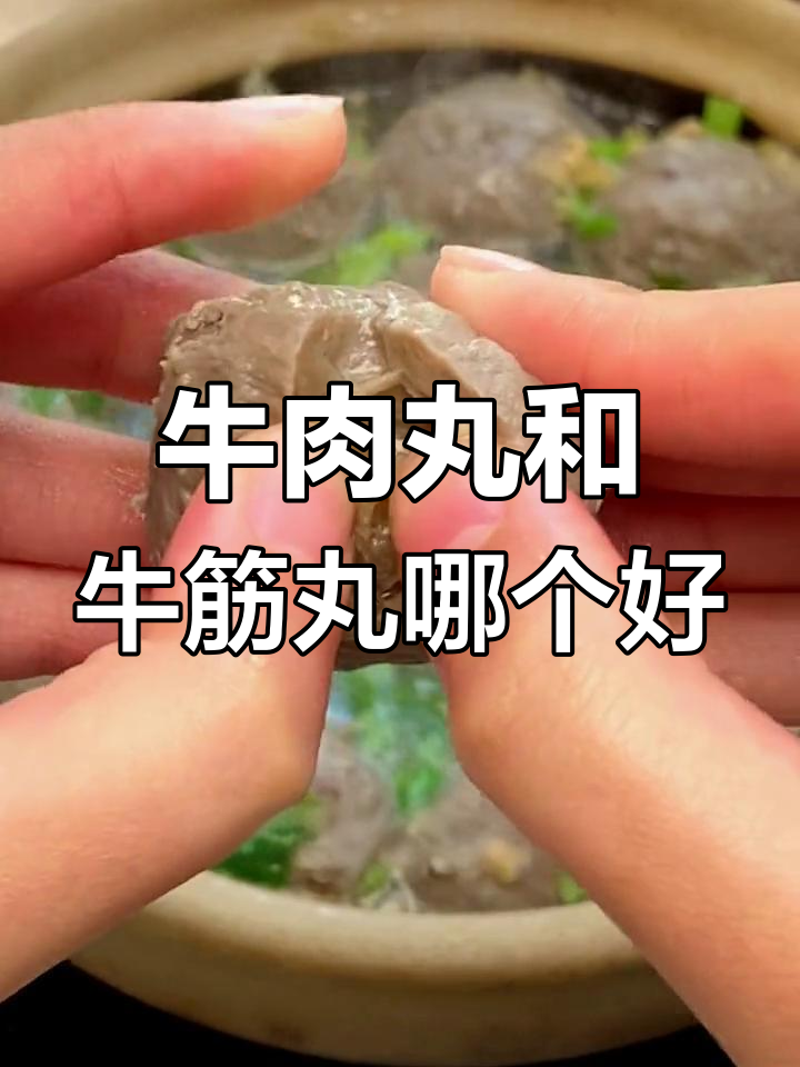 牛肉丸与牛筋丸的口感对比,哪个更好吃?