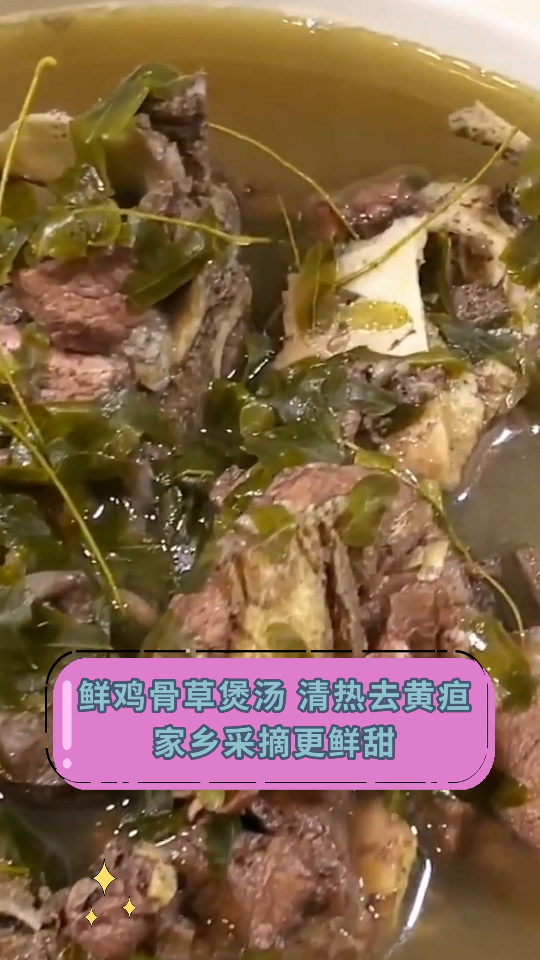 鲜鸡骨草煲汤 清热去黄疸家乡采摘更鲜甜